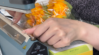 ひまわりの入った透明のバルーンをシーラーする女性の手